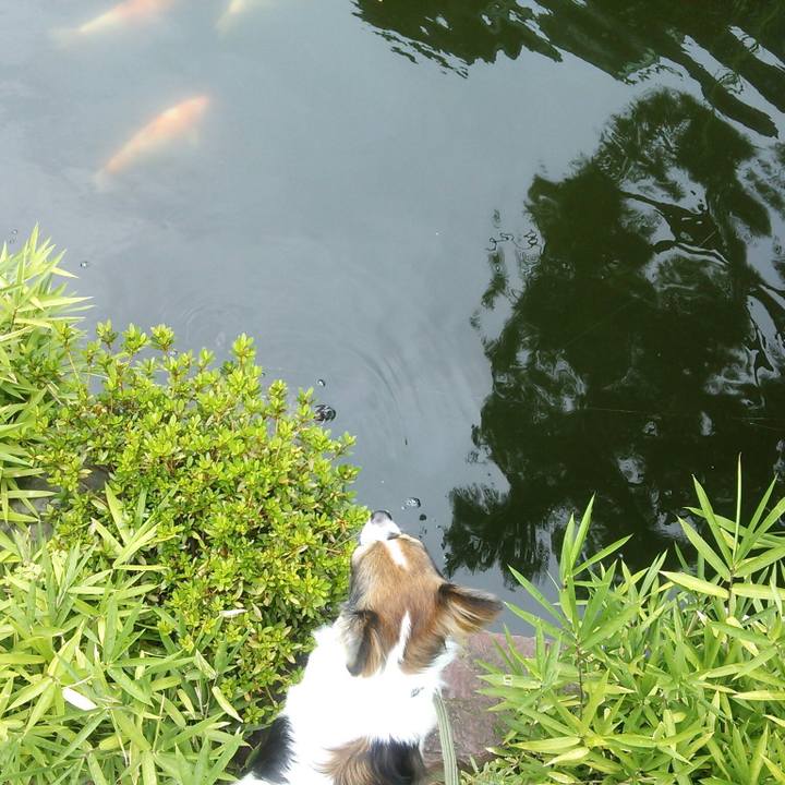 4ad6edc0 9faf 48b1 af68 74f105d34231