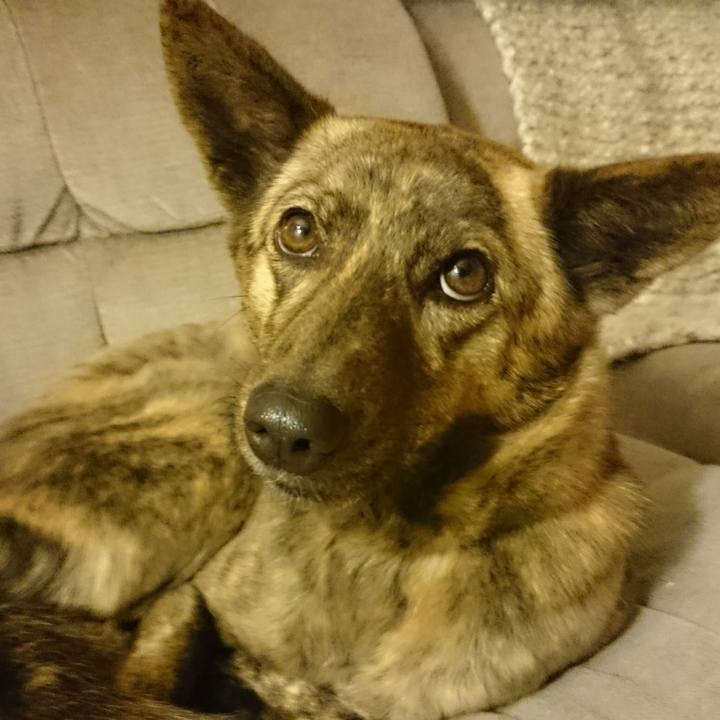 4ad723f9 8a22 4d76 9c05 4dd0e607f17c