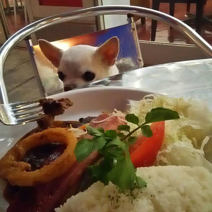 4ad77e3f ba97 4e25 a323 9a47a2f7b265