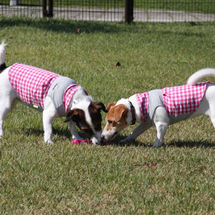 4ad806d8 7f3c 46fe 9fcf a24c28265b6c