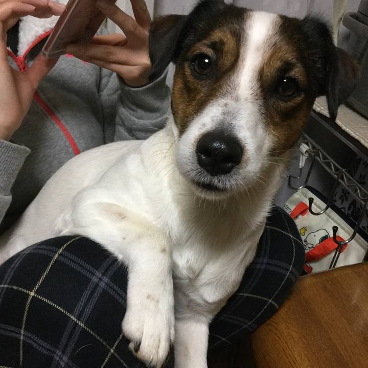 4adaa907 91ba 4b89 86ef a468265a25d4