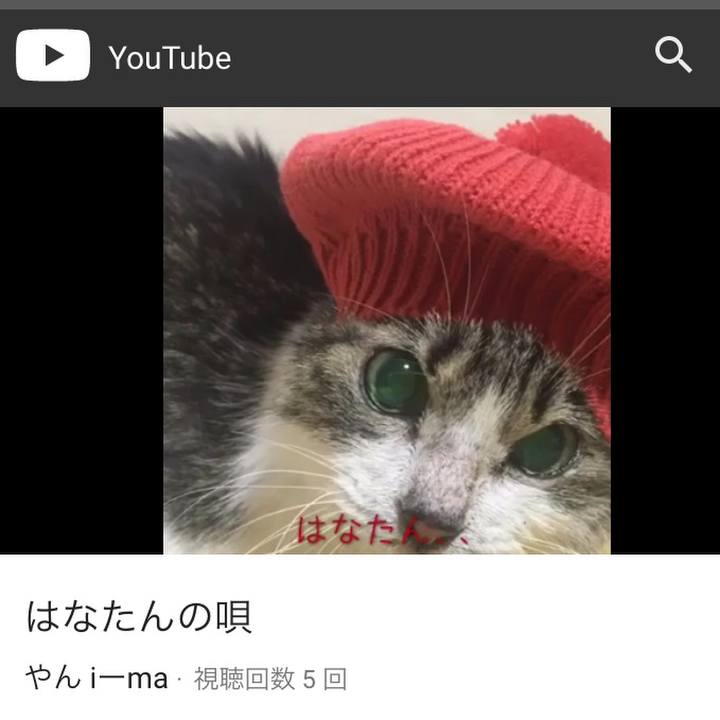 4adb8a9d 1546 443f 8fc1 07e02600476d