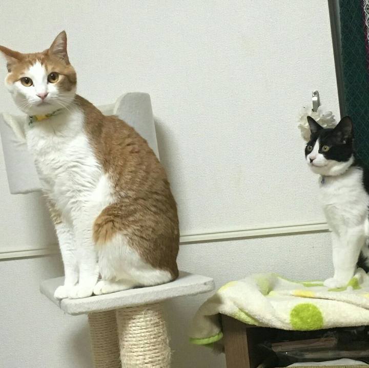 4adb90a6 463c 4937 a9b9 d19dc0e3e016