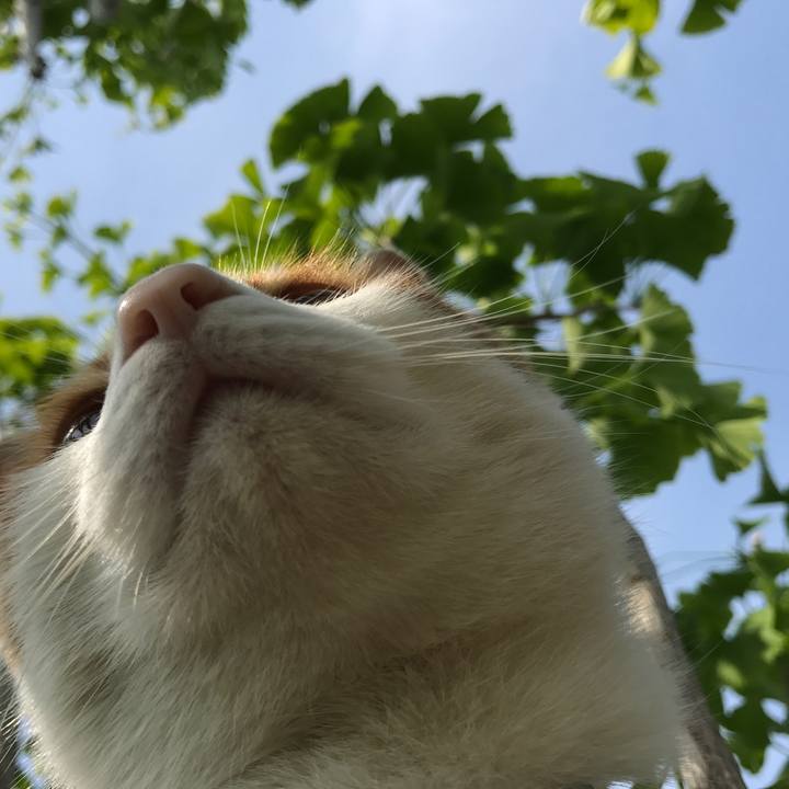 4adba3c5 7bdf 4f15 985c d43de0a9b342