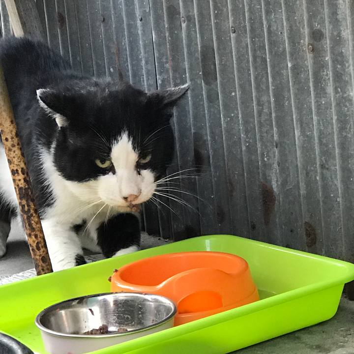 4adc705f 2c84 4e7b 878a d4879a19d604