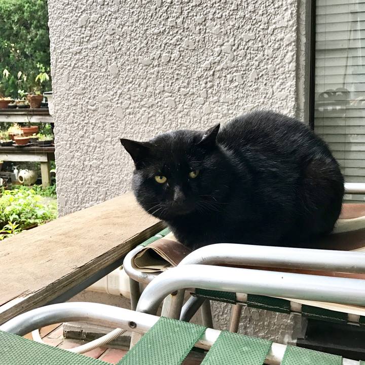 4add05d3 e00a 40e4 ba06 e134551f25fb