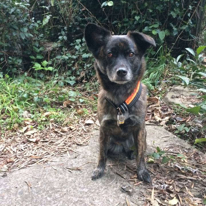 4add0c19 8bb8 4af1 b6a2 2cb08d9de3dc