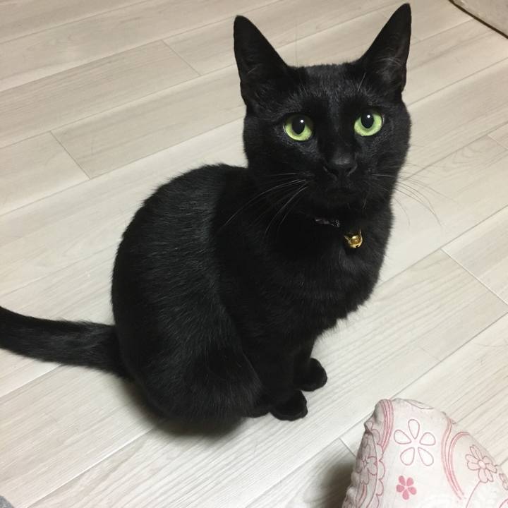 4add6dcc 7ef2 4d11 87c8 ef0ad1050616