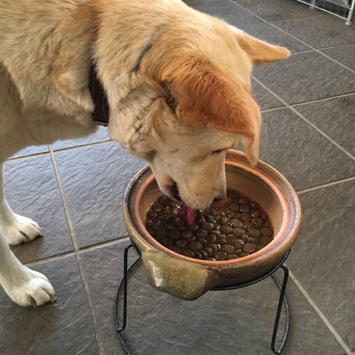 4adda0b2 b7a4 48f1 84d3 887eebad8b6f