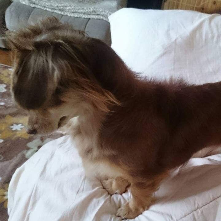 4ade1004 bab2 496a acaf f13d72ba4360