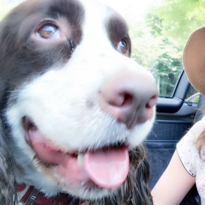 4aded492 5f18 4551 8062 5fb87ea7b77f