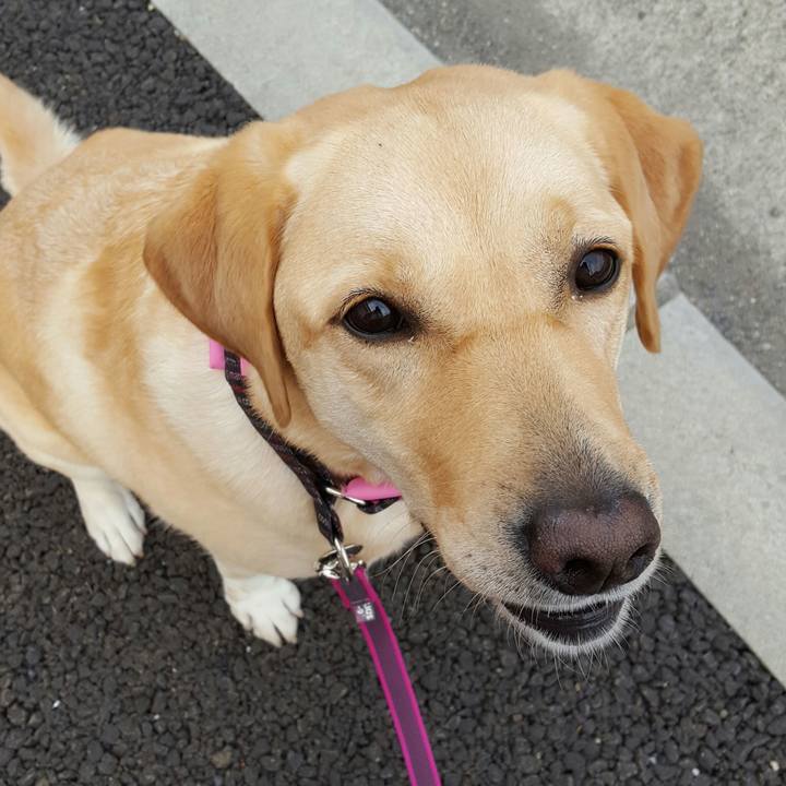 4adf7f7e 4044 492e b7d2 7ecf81a8c2be