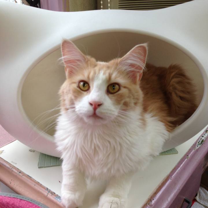 4adf9d15 a9a6 475c 9665 3e142d25a868