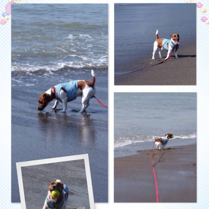 4adfb20c 9b0c 42c6 9533 0023fd7b8c0f