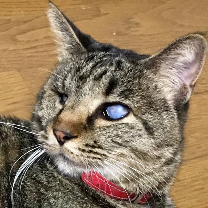 4adfcfd1 2c81 43f9 b9f0 90440adaa114