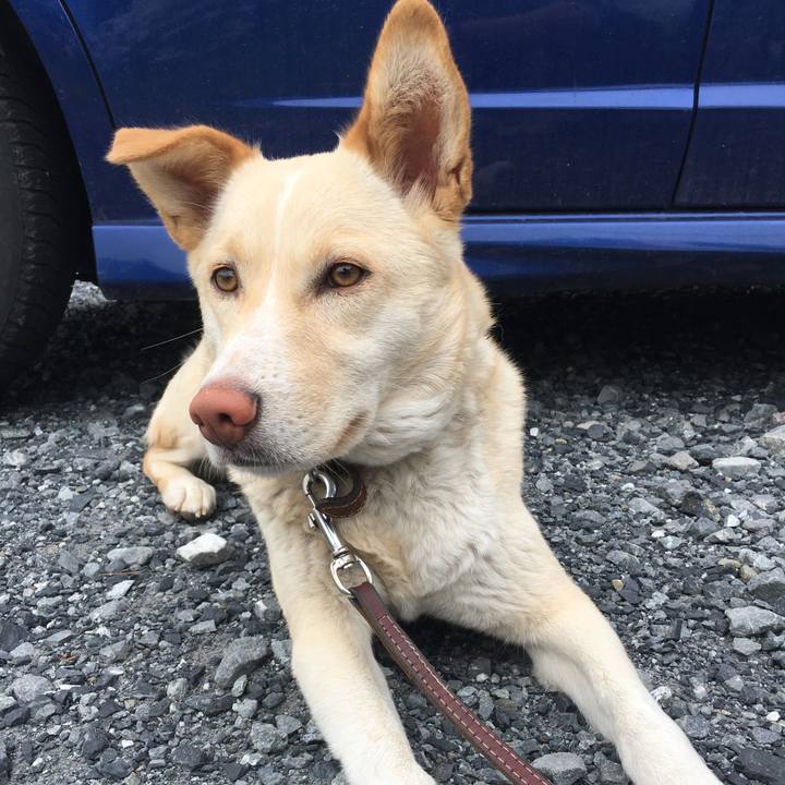 4adffae9 1a23 407e a83f dc4ed614246b