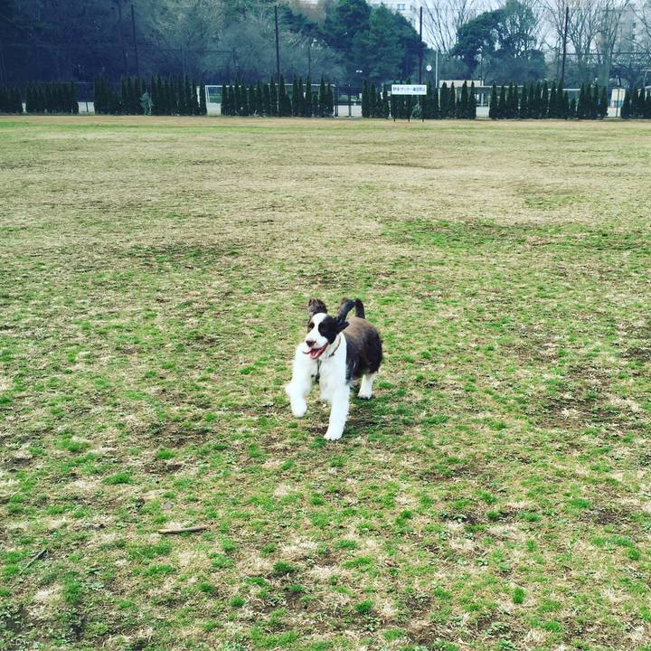 4ae03c98 0bee 4e78 982f 34203af02bc5