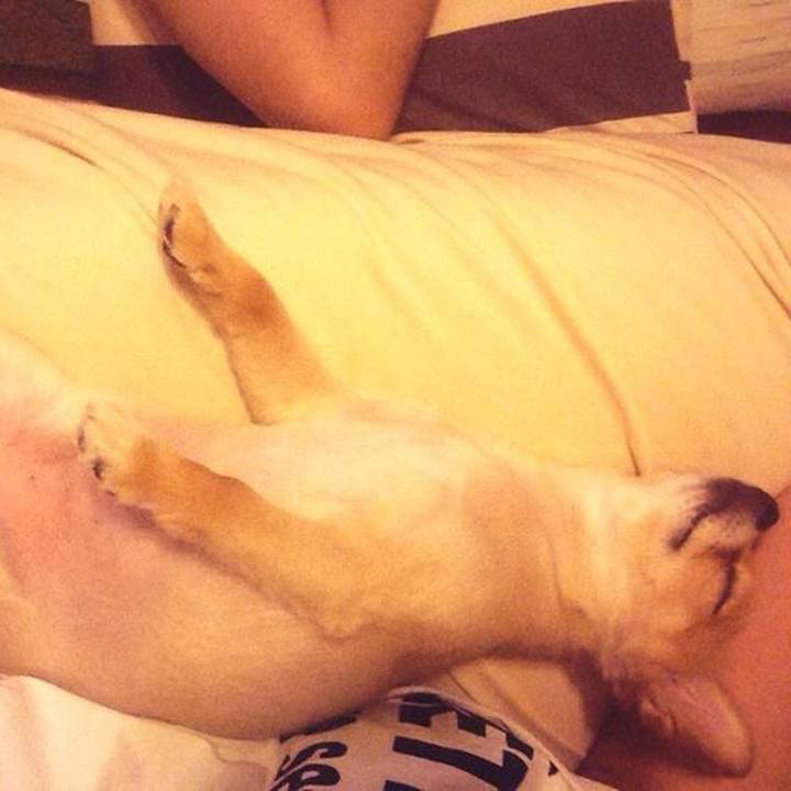 4ae094e1 7f78 46bb b4ad a07e60f5d57e