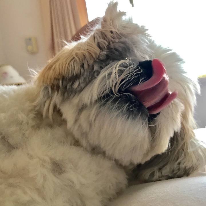 4ae0a441 3f3c 4439 a1c2 f898cc5420df