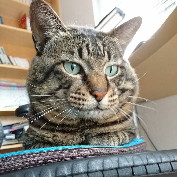 4ae0de2b a13a 4910 b917 02217499e501