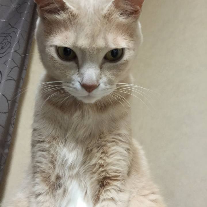 4ae26e8d b5c3 4057 99ef 04757660e93e