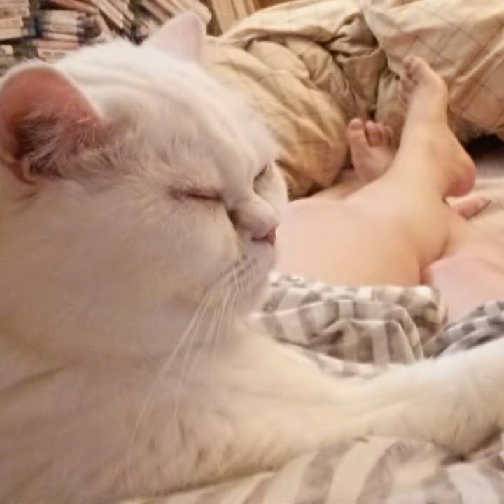 4ae28541 0cfc 4ec2 8d06 c5bd822153c1