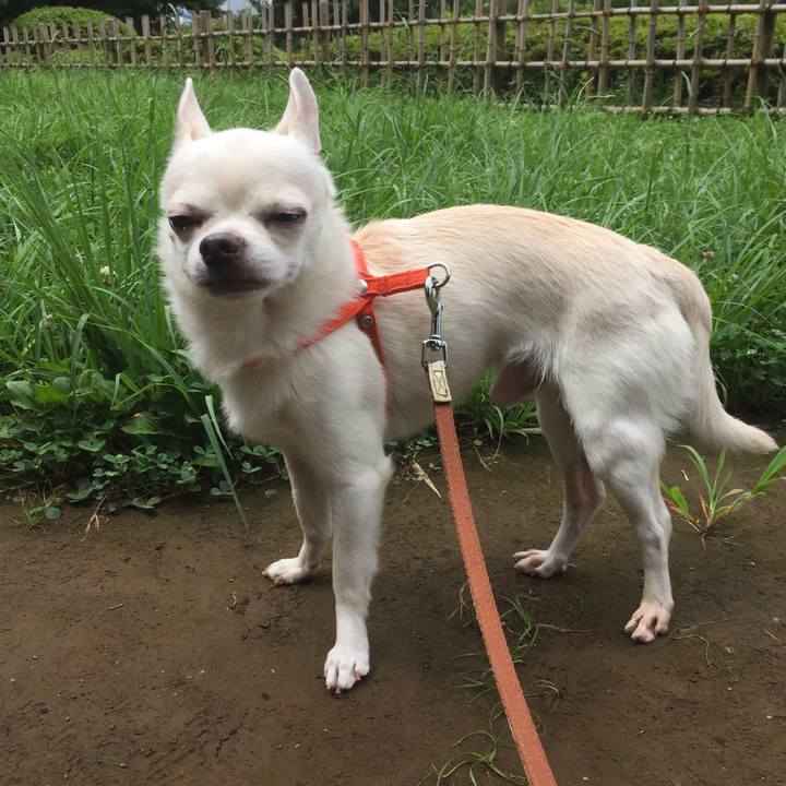 4ae2c3a3 8a3a 42b7 a4d6 0711704a3ca5