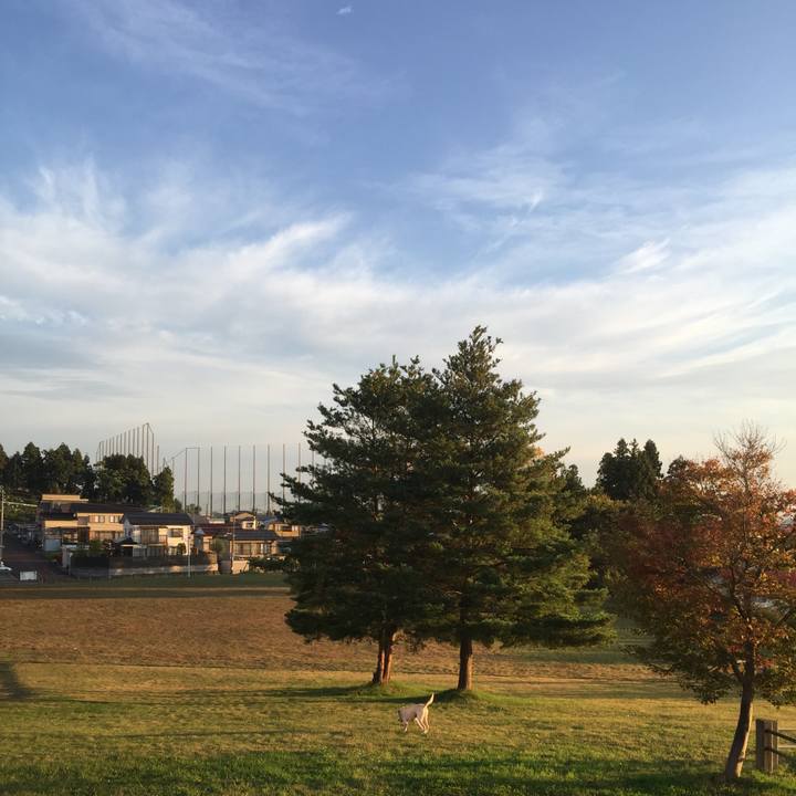 4ae2cc11 af71 40bc b1c1 99bbd1102d9c