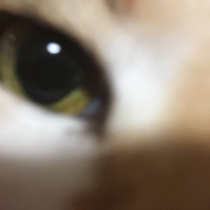 4ae3280d 5b32 41f7 a4c0 f1a386aaafa6