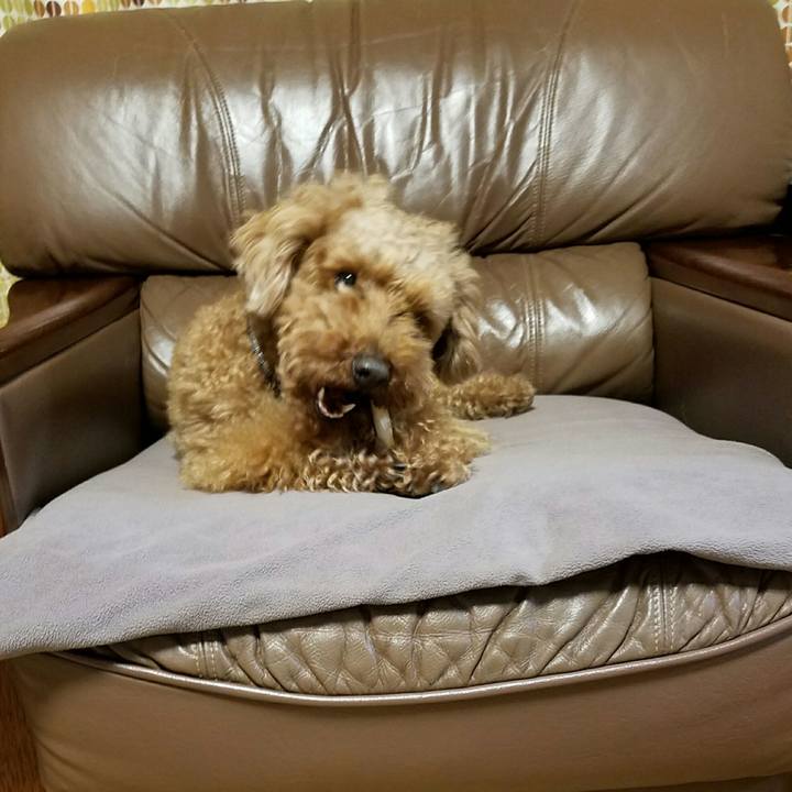 4ae432d8 46a4 466a bb91 8e9ea9973394