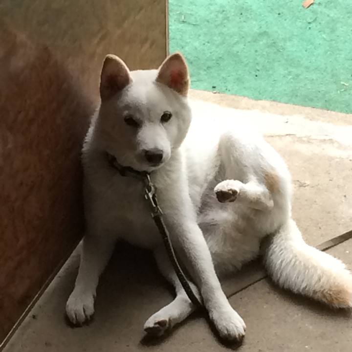 4ae458da de36 42b5 a64c 1c042bae401b