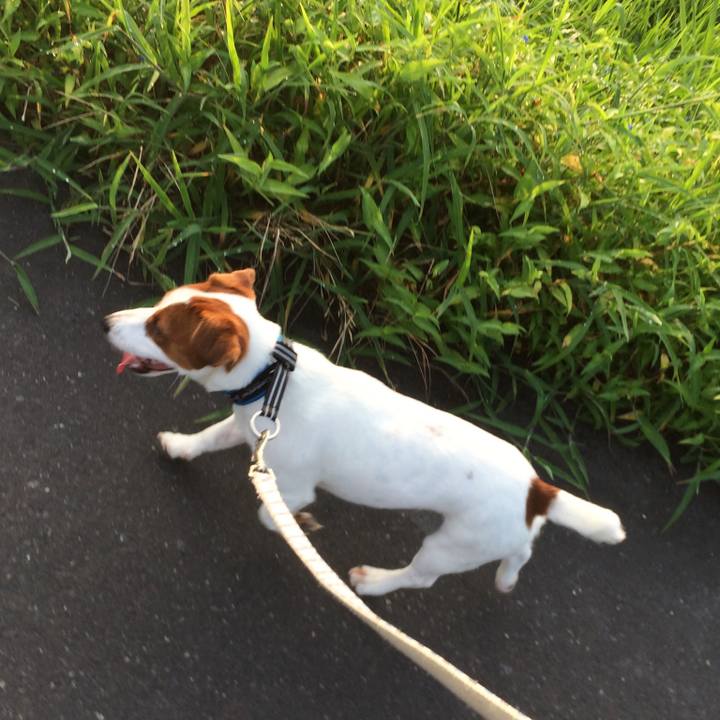 4ae47922 75fc 485b 9507 9c7e01b76c4b