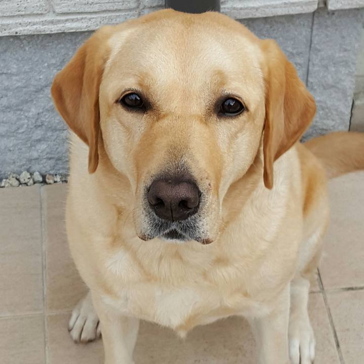 4ae5328e fc22 4329 bb6f 07fffb9bcf95