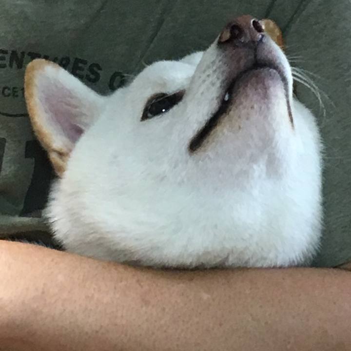 4ae57a1a 0422 44da b187 bdc2fad1c91d