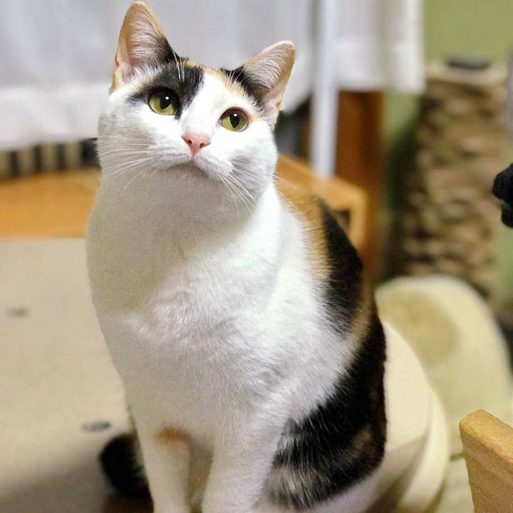 4ae5887a 4462 48e2 b37e 188921d3c856