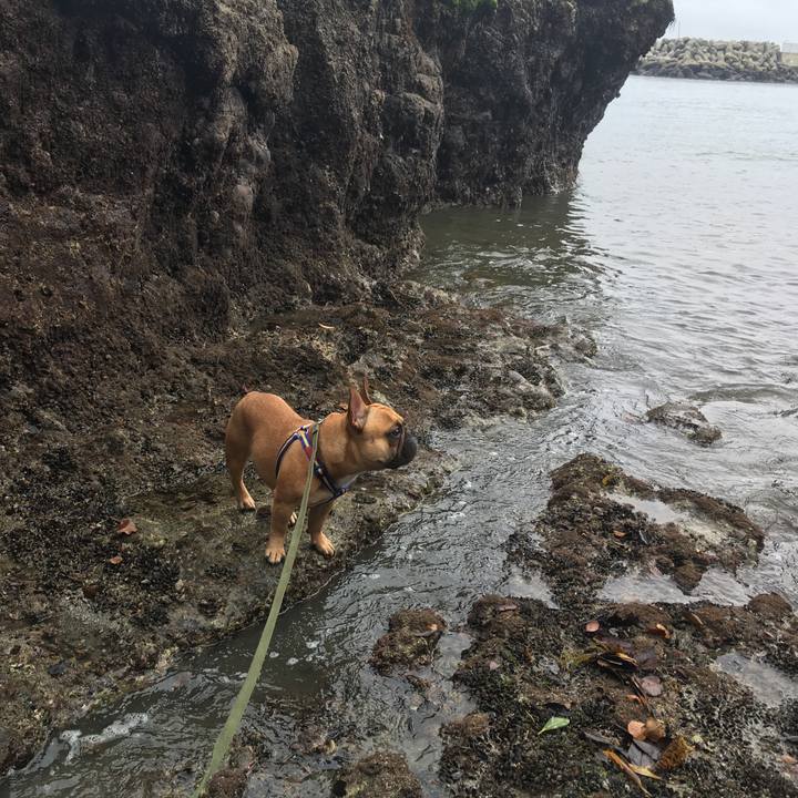 4ae7457e a7c8 4359 89f2 d792a87a5ab5