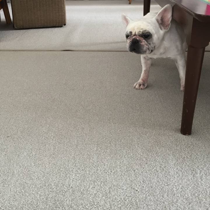 4ae802eb 3072 44c2 88a0 d2bdf87bf198