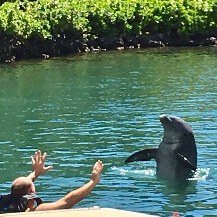 4ae86a16 b3da 4e95 a5b6 e85da59c4b93