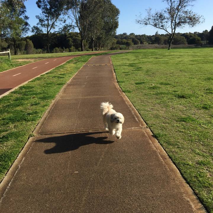 4ae87402 f46a 4207 8d18 85a70ae0ef63