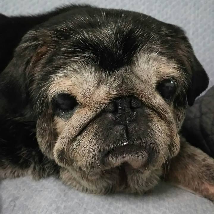 4ae8b566 2c41 4693 95f5 2b5b7d96dd3d