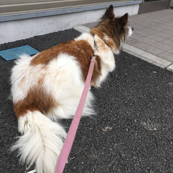 4ae8efb2 edfe 4e00 b901 8729ef881d9a