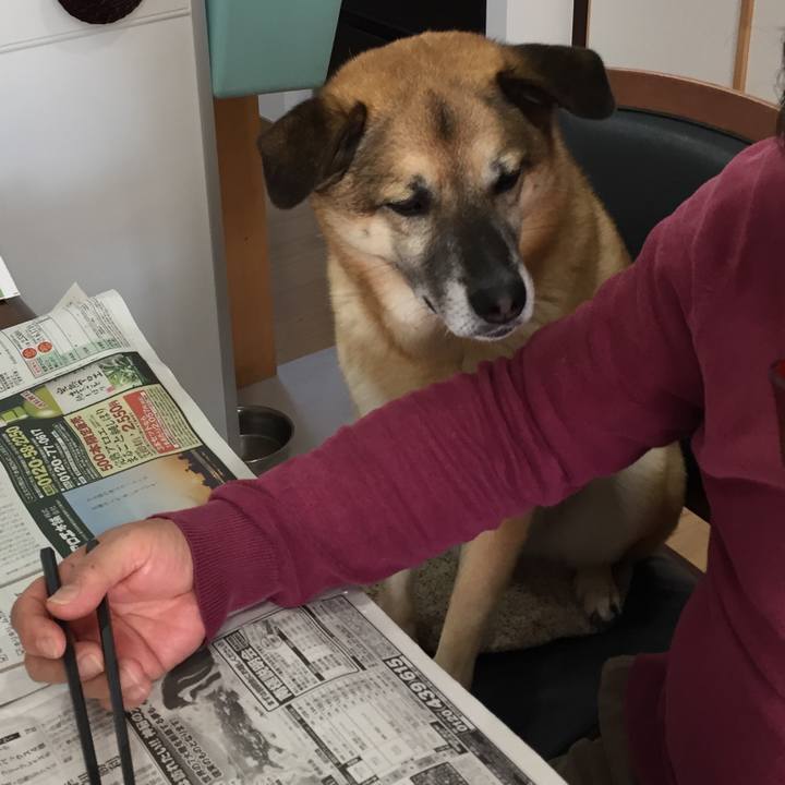 4ae90183 6949 447b ab33 54ac1e708cef