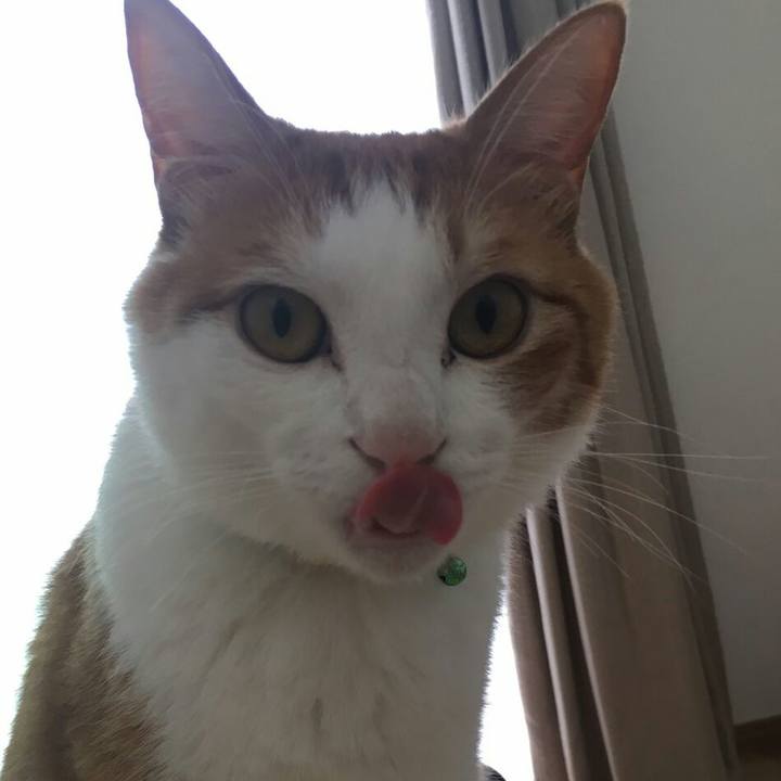 4ae90273 5493 41e4 b803 877e52a21b32