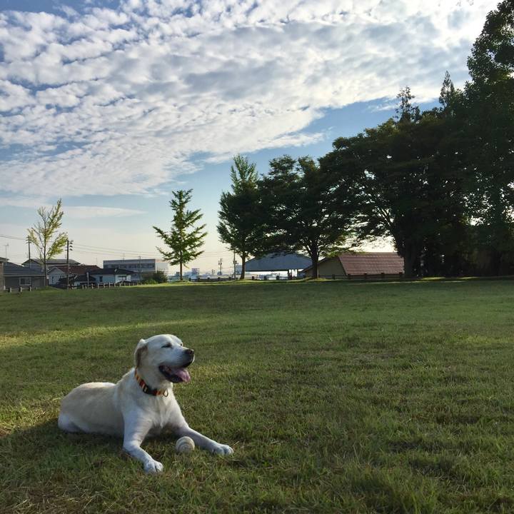 4aea7c5b 2306 4a01 9abd a91d2b7b3b32