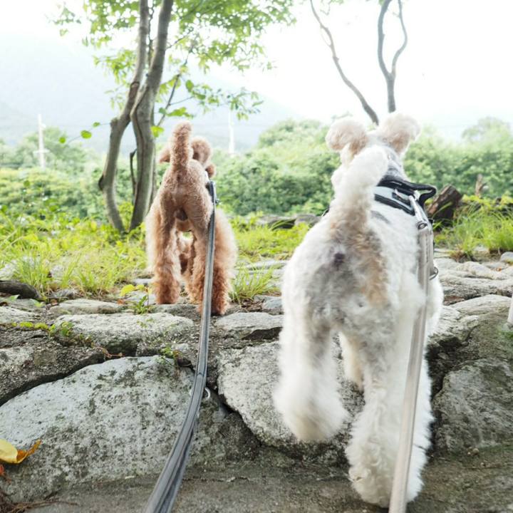 4aeaf4b8 c566 4243 a43b 65cc51a37780