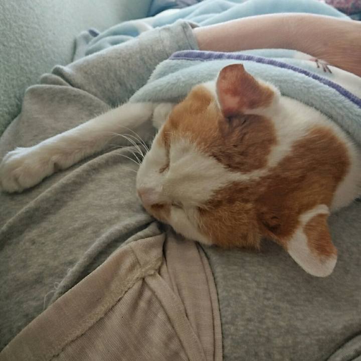 4aeb4530 de5e 41f4 9c0c 456391acf3c7