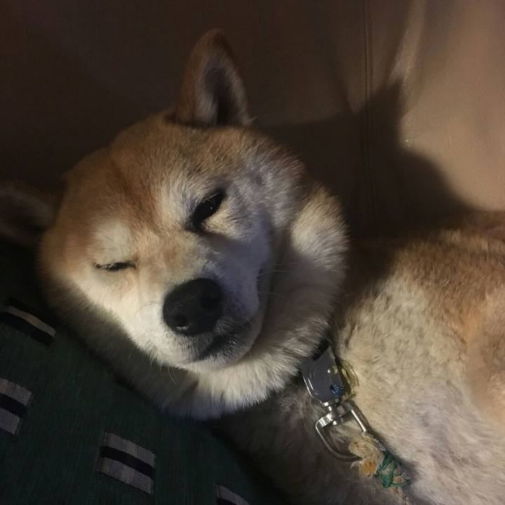 4aeb860c 1b4e 4e78 af0c c80881e76d28