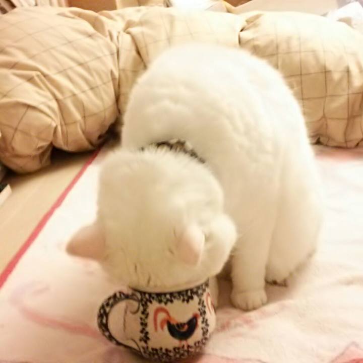 4aebe4d7 7513 4df2 b5fe 677cbe31a2a3