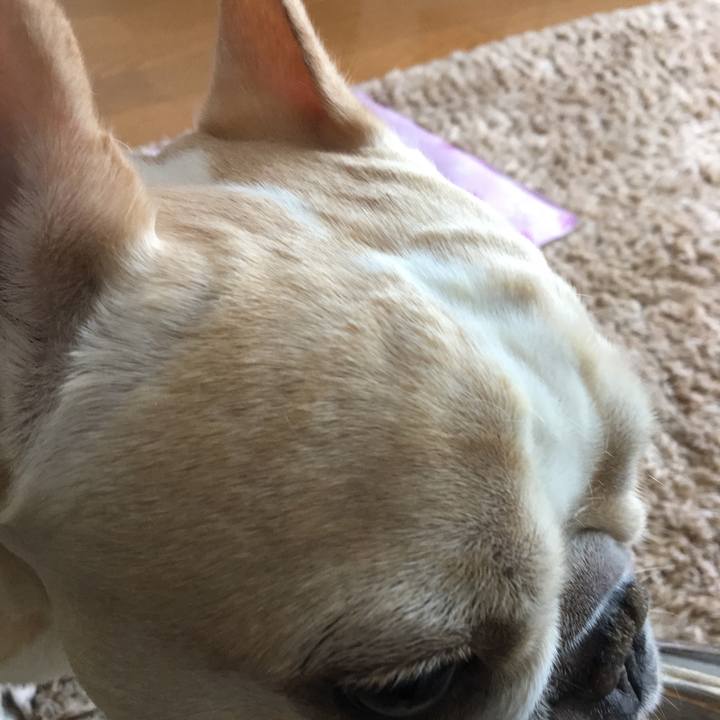 4aec7a69 7f8d 42a6 9c21 d8f2537c2e8e