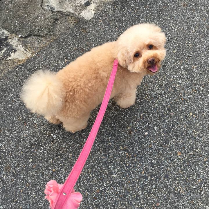 4aed2172 0065 4ec7 923c c1a741a209ae